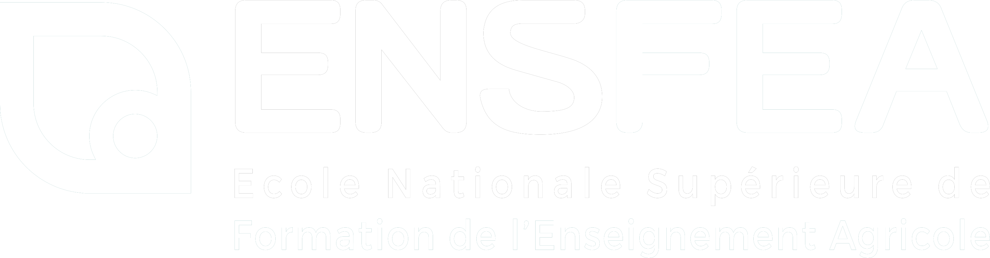 ensfea-logo