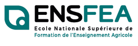ensfea